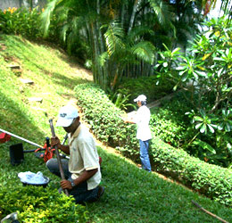 www.vanamaligardens.com_service
