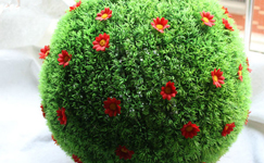 VanamaliGardens_FlowerPlants