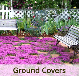 www.vanamaligardens.com_Product
