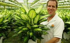 VanamaliGardens_FlowerPlants