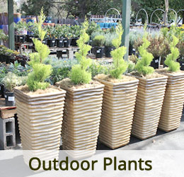 www.vanamaligardens.com_Product