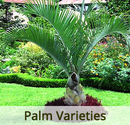 www.vanamaligardens.com_Product